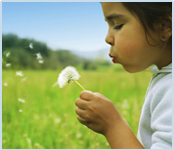 Girl blowing dandelions